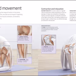 ISBN Yoga Your Home Practice Companion livre Santé, esprit et corps Anglais Couverture rigide