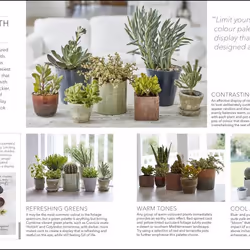ISBN RHS Practical Cactus and Succulent Book livre maison & jardin Anglais Couverture rigide