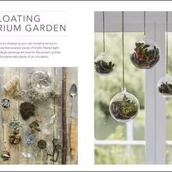 ISBN RHS Practical Cactus and Succulent Book livre maison & jardin Anglais Couverture rigide