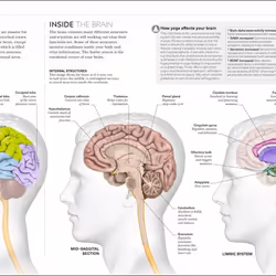 ISBN Science of Yoga livre Santé, esprit et corps Anglais