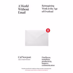 ISBN A World Without Email, Anglais, Livre broché, 320 pages