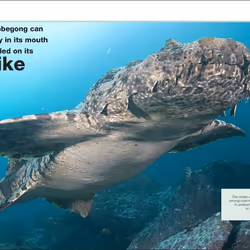 ISBN Pocket Eyewitness Sharks livre enfants & adolescents Anglais