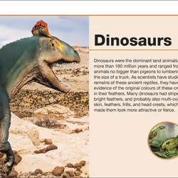 ISBN Pocket Eyewitness Dinosaurs livre Dinosaures Anglais