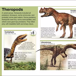 ISBN Pocket Eyewitness Dinosaurs livre Dinosaures Anglais