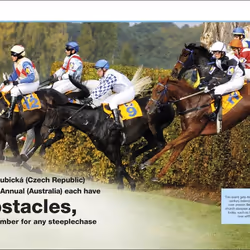 ISBN Pocket Eyewitness Horses livre enfants & adolescents Anglais