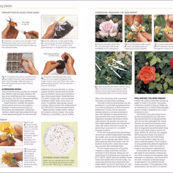 ISBN RHS Propagating Plants livre maison & jardin Anglais Couverture rigide