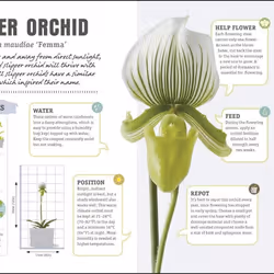 ISBN Happy Orchid livre maison & jardin Anglais Couverture rigide