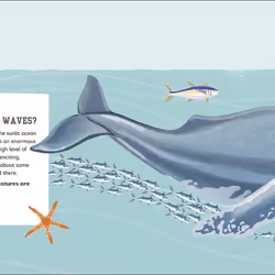 ISBN The Sea Book livre enfants & adolescents Anglais Couverture rigide