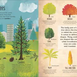 ISBN RHS The Magic and Mystery of Trees livre Education Anglais Couverture rigide