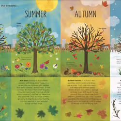 ISBN RHS The Magic and Mystery of Trees livre Education Anglais Couverture rigide
