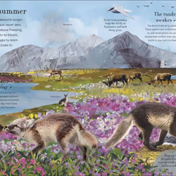 ISBN Through the Animal Kingdom livre enfants & adolescents Anglais Couverture rigide