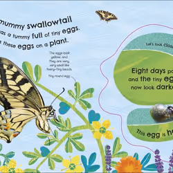 ISBN RHS How Does a Butterfly Grow? livre enfants & adolescents Anglais Couverture rigide
