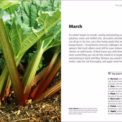 ISBN Allotment Month By Month livre maison & jardin Anglais Couverture rigide
