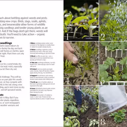 ISBN Allotment Month By Month livre maison & jardin Anglais Couverture rigide