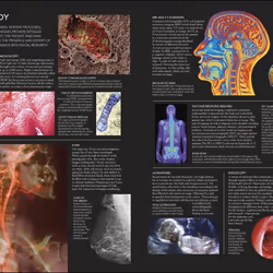 ISBN The Human Body Book livre Education Anglais Couverture rigide