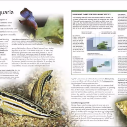 ISBN Encyclopedia of Aquarium and Pond Fish livre Education Anglais Couverture rigide