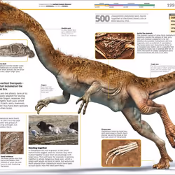 ISBN Knowledge Encyclopedia Dinosaur! livre Dinosaures Anglais Couverture rigide