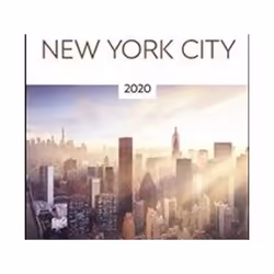 ISBN New York City : DK Eyewitness Travel Guide 2020, Voyage, Anglais, Livre broché, 328 pages