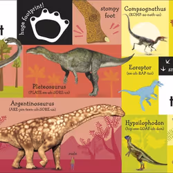 ISBN 100 First Dinosaur Words livre Education Anglais Couverture rigide
