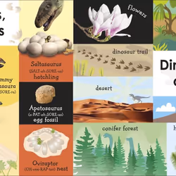 ISBN 100 First Dinosaur Words livre Education Anglais Couverture rigide