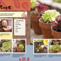 ISBN RHS Let's Get Gardening livre enfants & adolescents Anglais