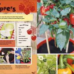 ISBN RHS Let's Get Gardening livre enfants & adolescents Anglais
