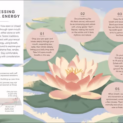 ISBN Breathwork livre Santé, esprit et corps Anglais Couverture rigide