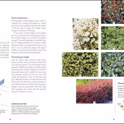 ISBN RHS Your Wellbeing Garden livre maison & jardin Anglais Couverture rigide