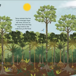 ISBN The Rainforest Book livre enfants & adolescents Anglais Couverture rigide