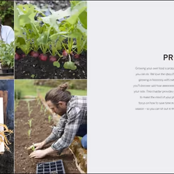 ISBN Practical Self-sufficiency livre maison & jardin Anglais Couverture rigide