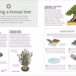 ISBN Happy Bonsai livre maison & jardin Anglais Couverture rigide