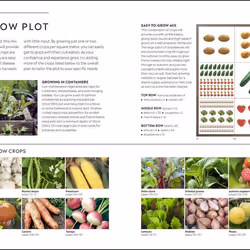 ISBN RHS Step-by-Step Veg Patch livre maison & jardin Anglais Couverture rigide