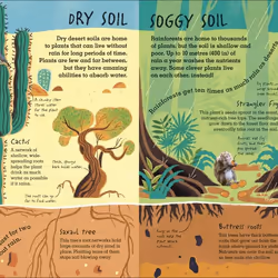 ISBN RHS Under Your Feet livre Education Anglais Couverture rigide