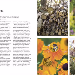 ISBN The Complete Gardener livre maison & jardin Anglais Couverture rigide