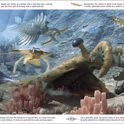 ISBN Life Through Time livre Science & nature Anglais Couverture rigide