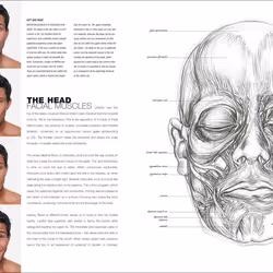 ISBN Anatomy for the Artist livre Art & design Anglais Couverture rigide