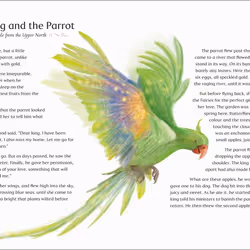 ISBN Mischief & Magic: Enchanting Tales of India livre Art & design Anglais Couverture rigide