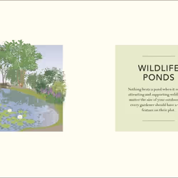 ISBN Wild Your Garden livre maison & jardin Anglais Couverture rigide