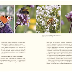 ISBN Wild Your Garden livre maison & jardin Anglais Couverture rigide