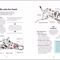 ISBN What's My Dog Thinking? livre Science & nature Anglais Couverture rigide