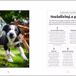 ISBN What's My Dog Thinking? livre Science & nature Anglais Couverture rigide