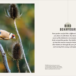 ISBN How to Attract Birds to Your Garden livre Science & nature Anglais Couverture rigide