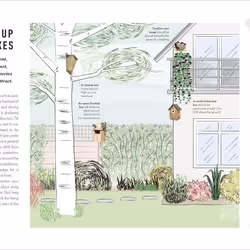 ISBN How to Attract Birds to Your Garden livre Science & nature Anglais Couverture rigide