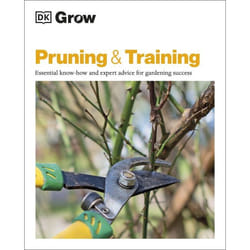 ISBN Grow Pruning & Training