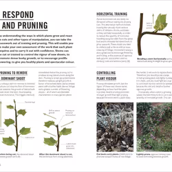 ISBN Grow Pruning & Training