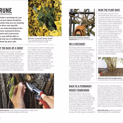 ISBN Grow Pruning & Training