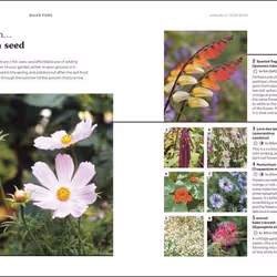 ISBN RHS How to Garden When You Rent livre maison & jardin Anglais Couverture rigide