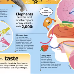 ISBN The Brain Book livre Biologie Anglais Couverture rigide