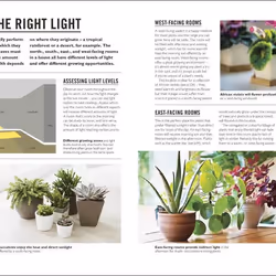 ISBN Grow Houseplants livre maison & jardin Anglais