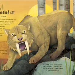 ISBN Animals Lost and Found livre enfants & adolescents Anglais Couverture rigide